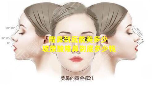隆鼻到底能美多少 玻尿酸隆鼻到底多少钱